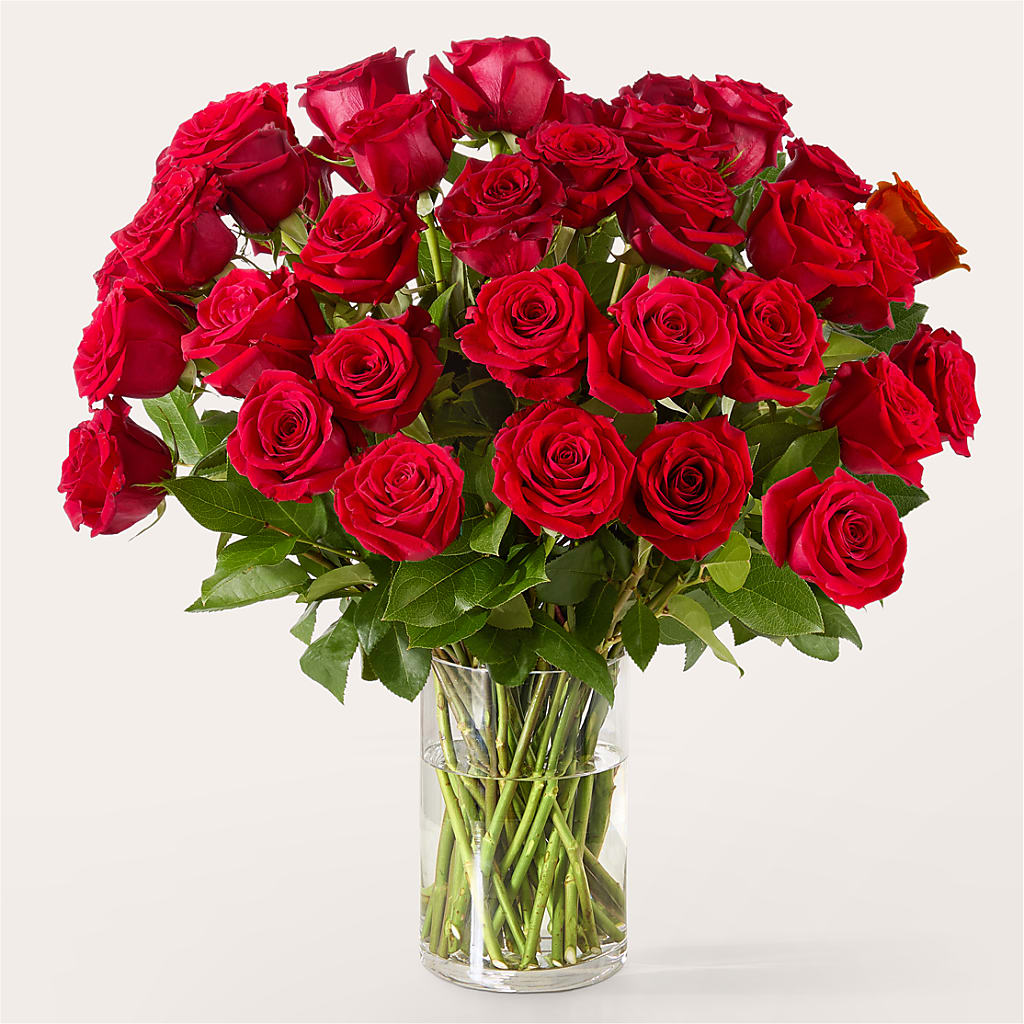 The One Red Rose Bouquet –  Guru Flowers, Port Saint Lucie FL