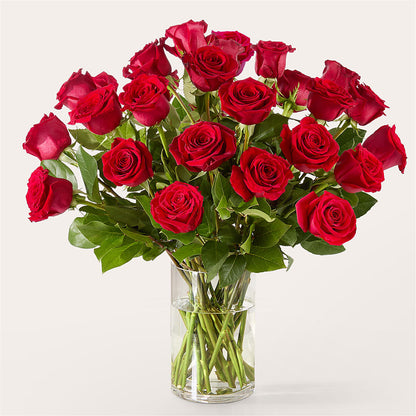 The One Red Rose Bouquet –  Guru Flowers, Port Saint Lucie FL