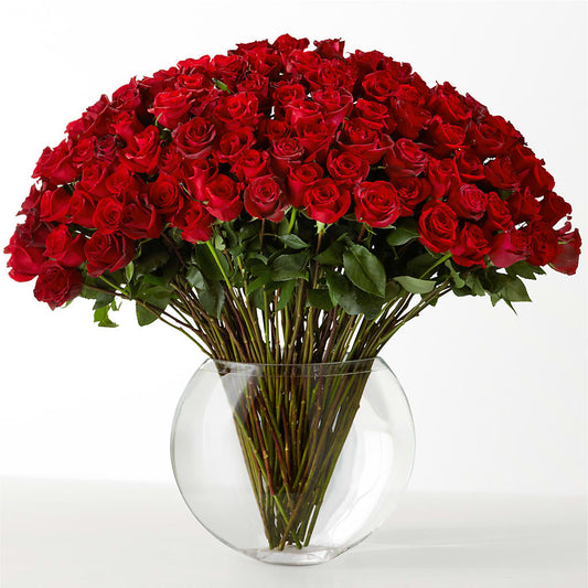 The Idealist –  Guru Flowers, Port Saint Lucie FL