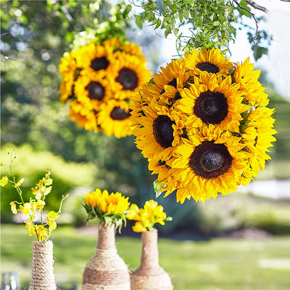 Sublime Garden Hanging Arrangement –  Guru Flowers, Port Saint Lucie FL