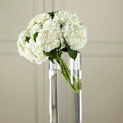 White Hydrangea Hand-Tied Bouquet –  Guru Flowers, Port Saint Lucie FL