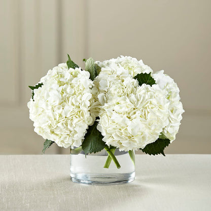 White Hydrangea Bouquet –  Guru Flowers, Port Saint Lucie FL